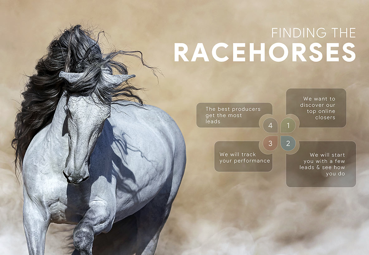 Conference presentation exploring referral-based business growth, networking strategies, and market influence.