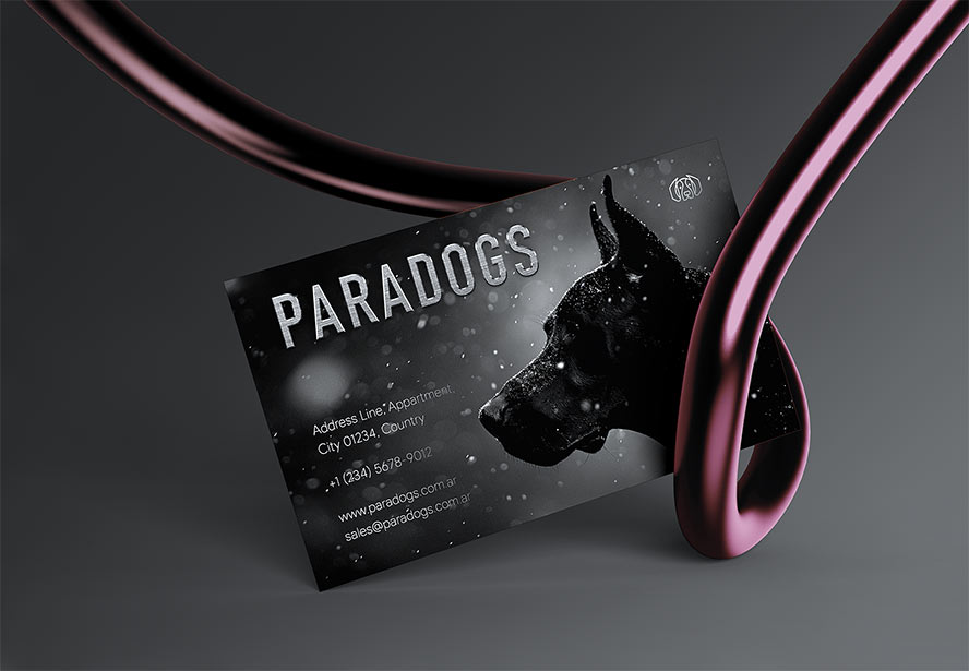 Paradogs – Business card and logo design reflecting a bold, adventurous brand identity with clean typography and dynamic visual elements.