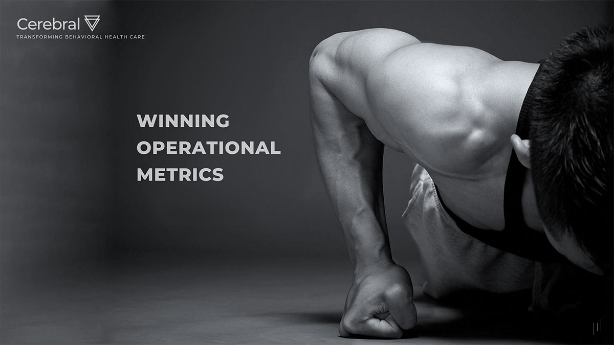 Cerebral – Professional business presentation showcasing company profile, strategic vision, and industry positioning.