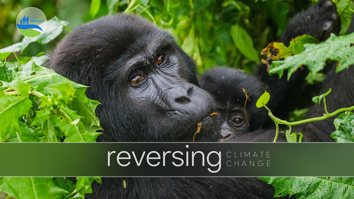 Reversing Climate Change – Title slide featuring the presentation name over a background image of a mother and child monkey in a forest, symbolizing environmental preservation.