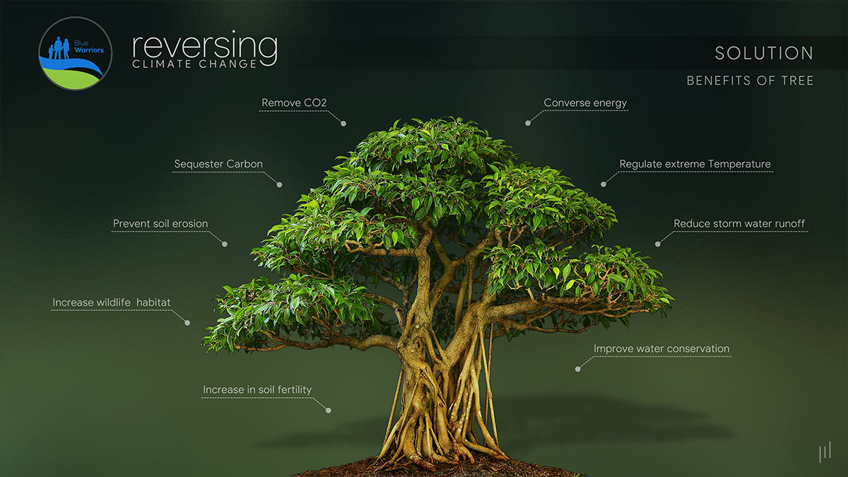 Reversing Climate Change – Slide showcasing the environmental benefits of trees in combating climate change.