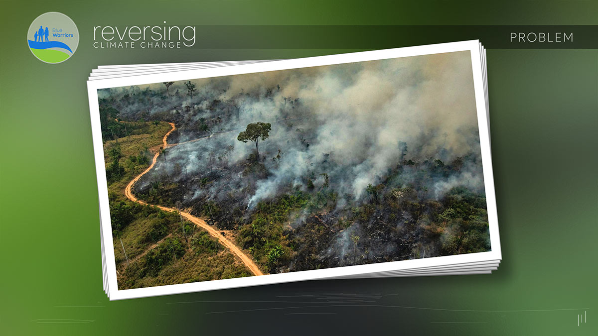 Reversing Climate Change – Slide showcasing a series of images illustrating the global impact of climate change.