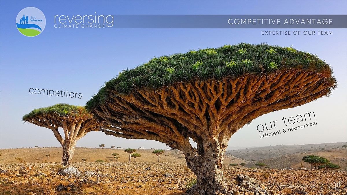 Reversing Climate Change – Slide emphasizing the specialized expertise of Blue Warriors’ team in climate solutions.