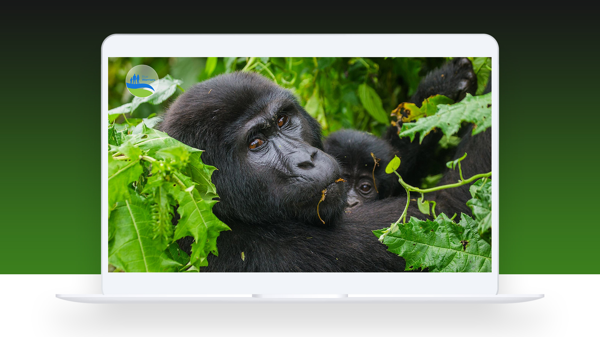 Reversing Climate Change – High-quality video presentation delivering a compelling visual breakdown of climate change solutions.