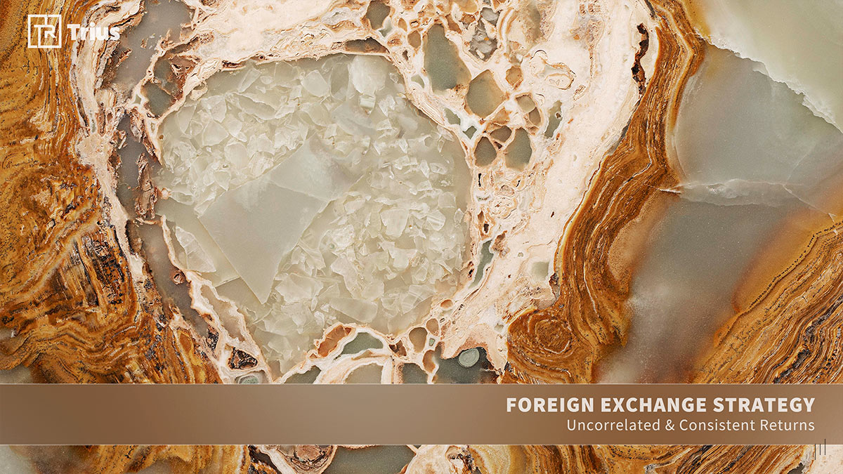 TRIUS Partners – Section title slide introducing key strategies for foreign exchange investments.