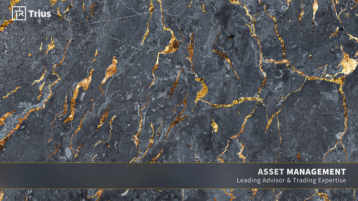 TRIUS Partners – Section title slide introducing TRIUS Partners’ asset management strategies.